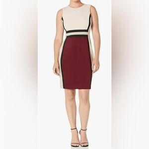 Calvin Klein Women’s Sleeveless Multi Colorblock Sheath Dress Sz 2